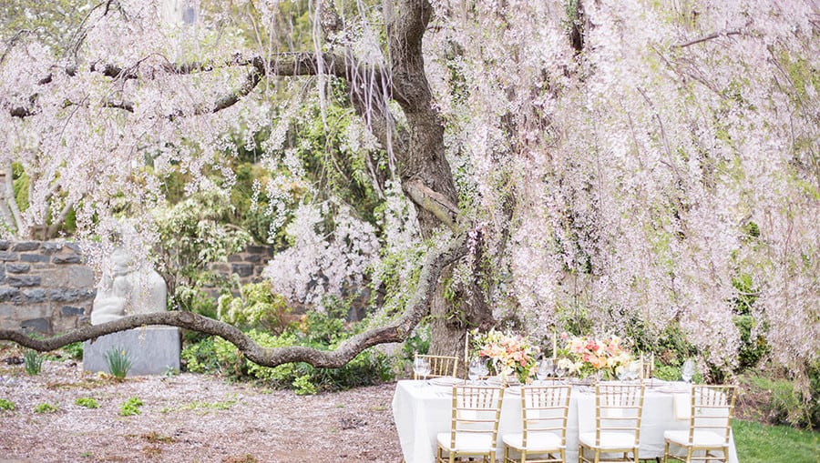 свадьба весной